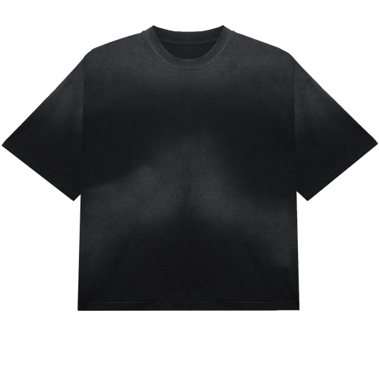 Faded Black Crop Tee