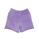 Phantom Purple Shorts