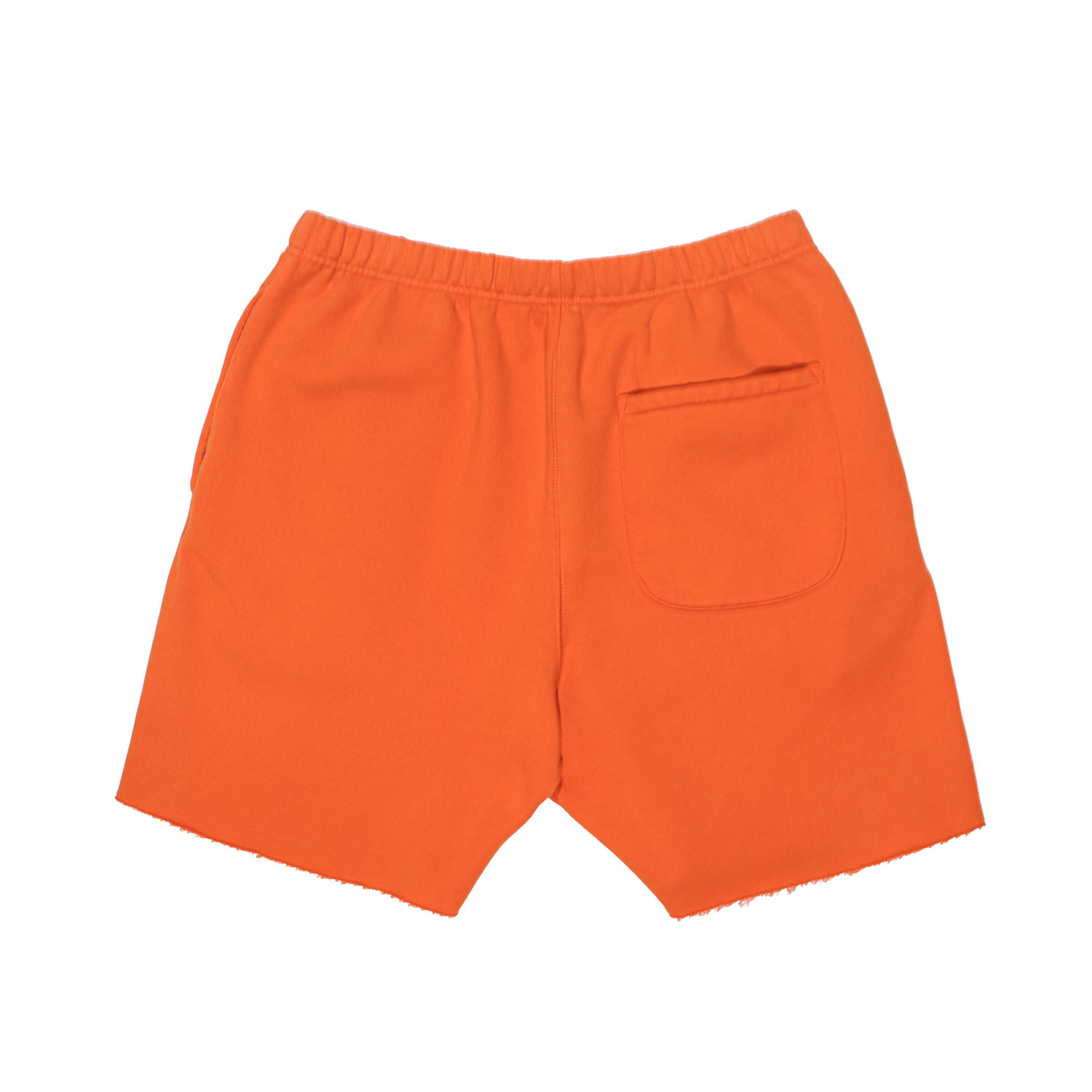 Pumpkin Orange Distressed Shorts